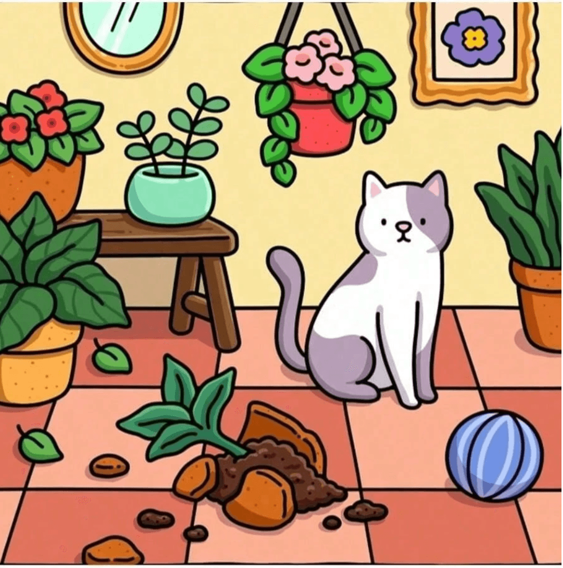 Cat Moments
