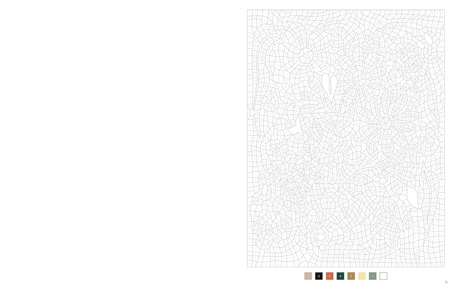 Flowers and Bouquets : 40 Mystery Colorings