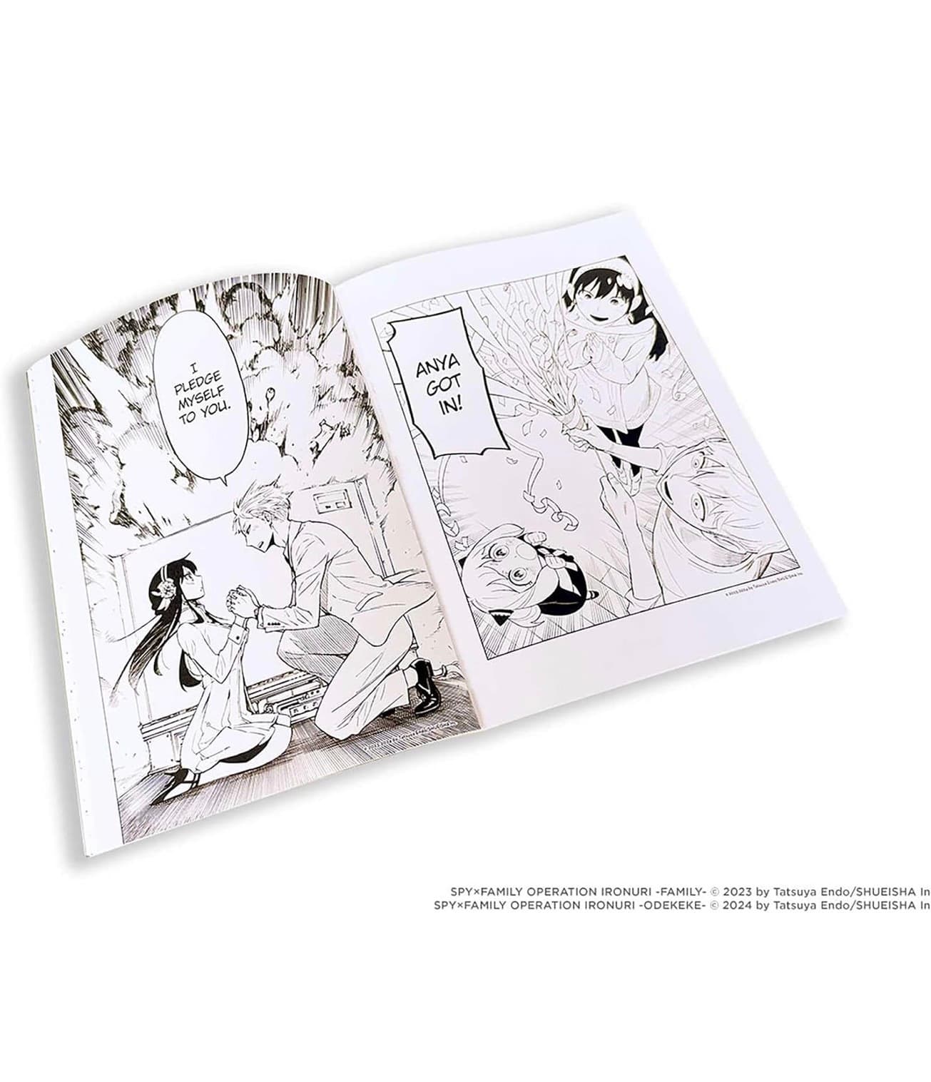 Spy X family Coloring book