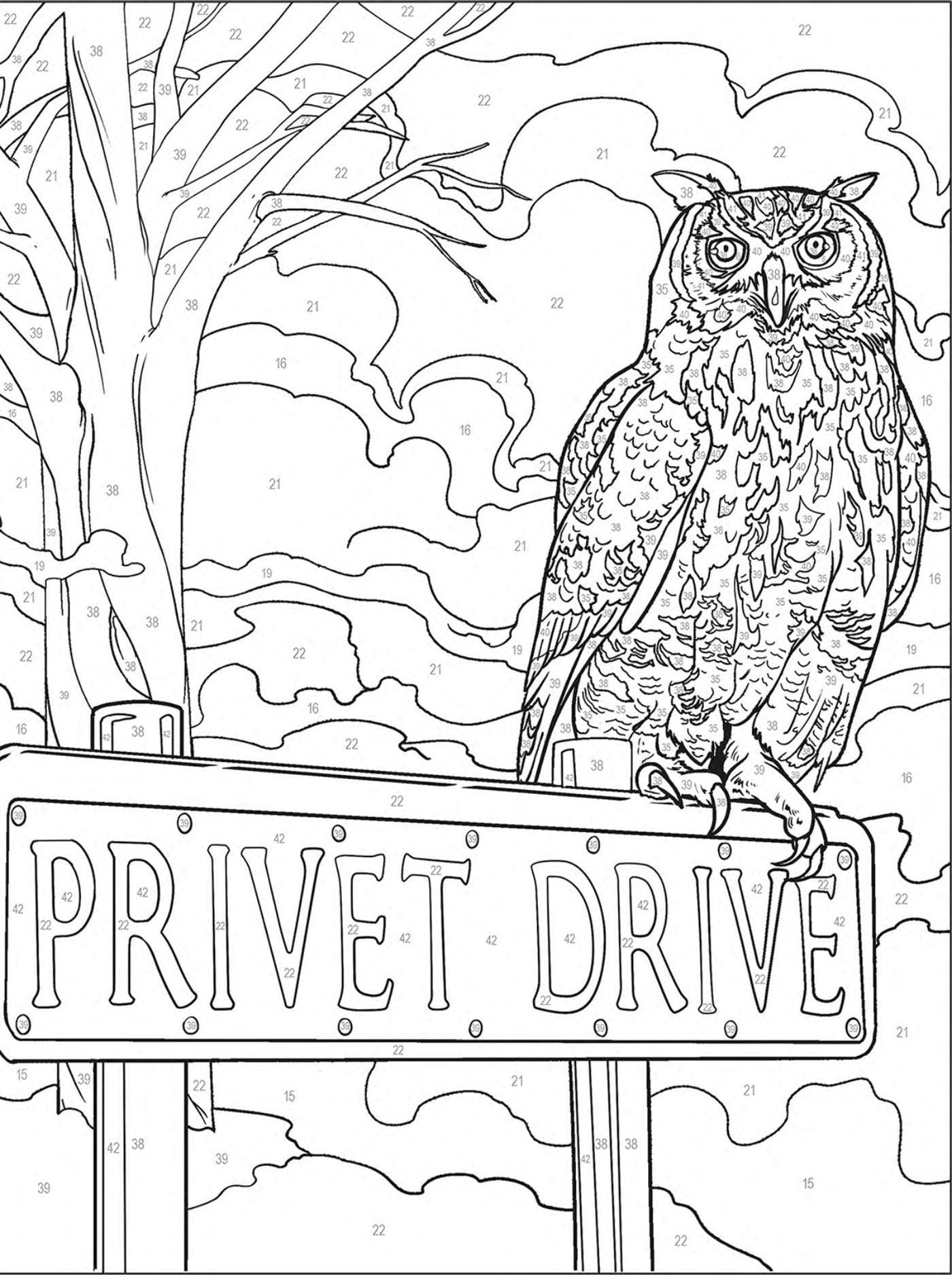 HARRY POTTER AU NUMÉRO