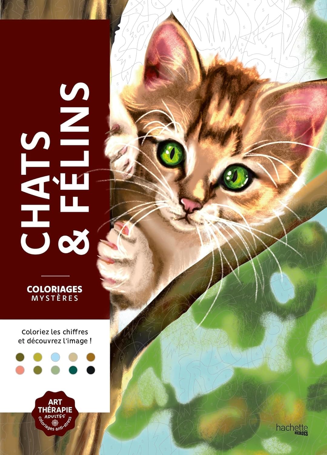 Chats & Félins (Cats & Felines)