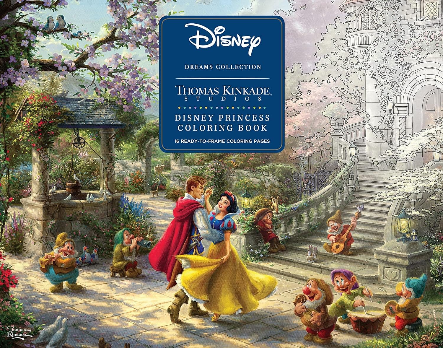 Disney Princess Coloring Poster Book