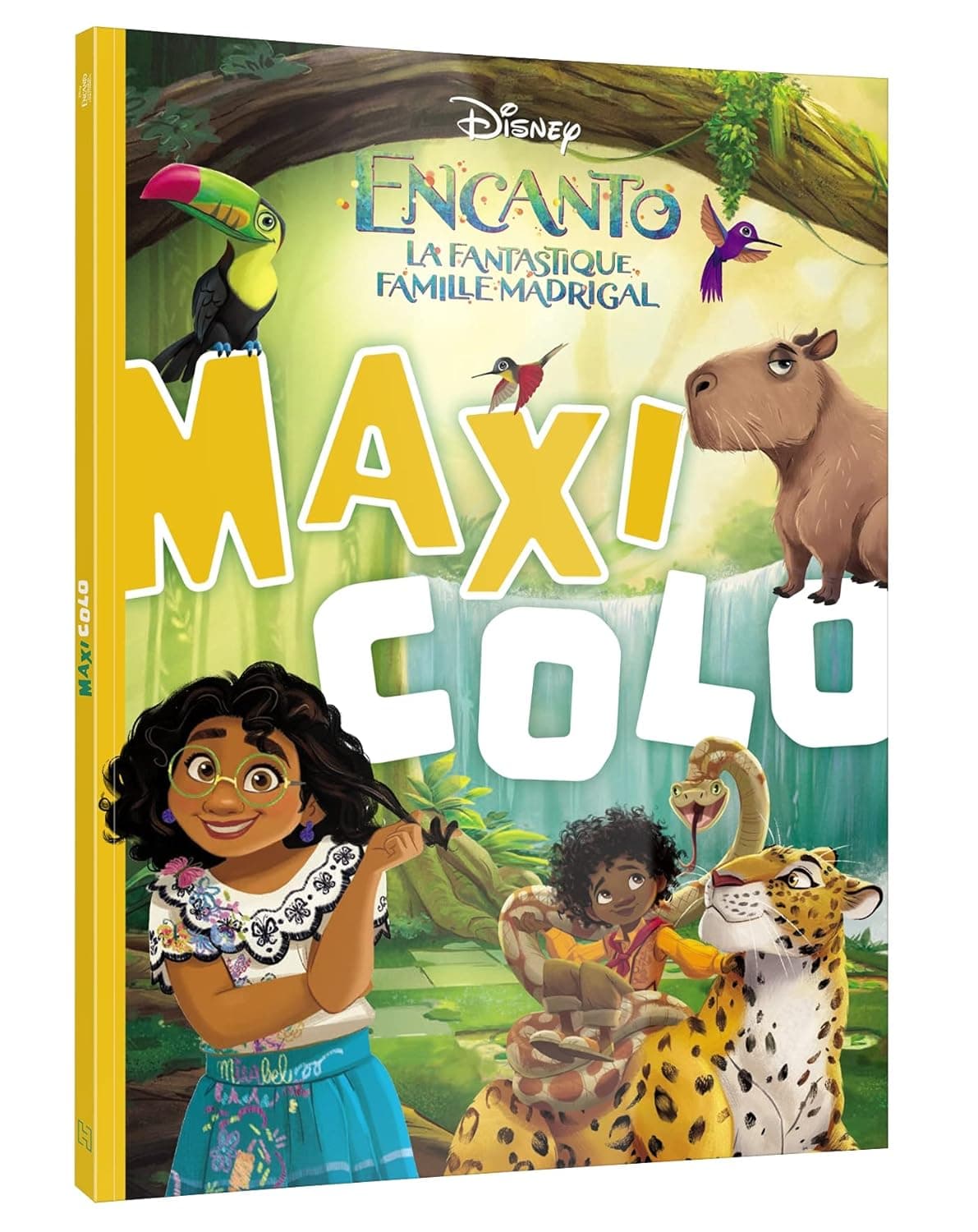 ENCANTO, LA FANTASTIQUE FAMILLE MADRIGAL - Maxi Colo