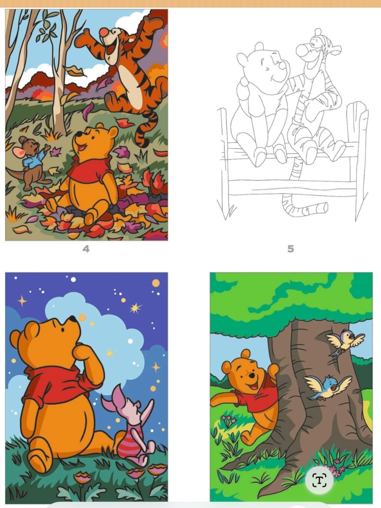 100 % Winnie: Mandalas, coloriages mystères, scènes... (100% Winnie: Mandalas & Mystery Coloring)