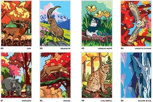 Mystery Coloring: Safari